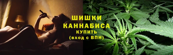 круглые Иннополис
