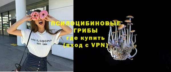 ПСИЛОЦИБИНОВЫЕ ГРИБЫ Алзамай