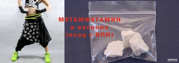 прущие грибы Дмитровск