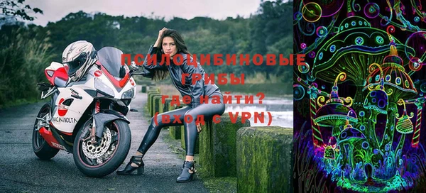 ПСИЛОЦИБИНОВЫЕ ГРИБЫ Алзамай