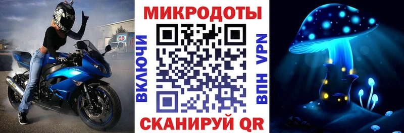 купить   Курчалой  Галлюциногенные грибы Psilocybine cubensis 